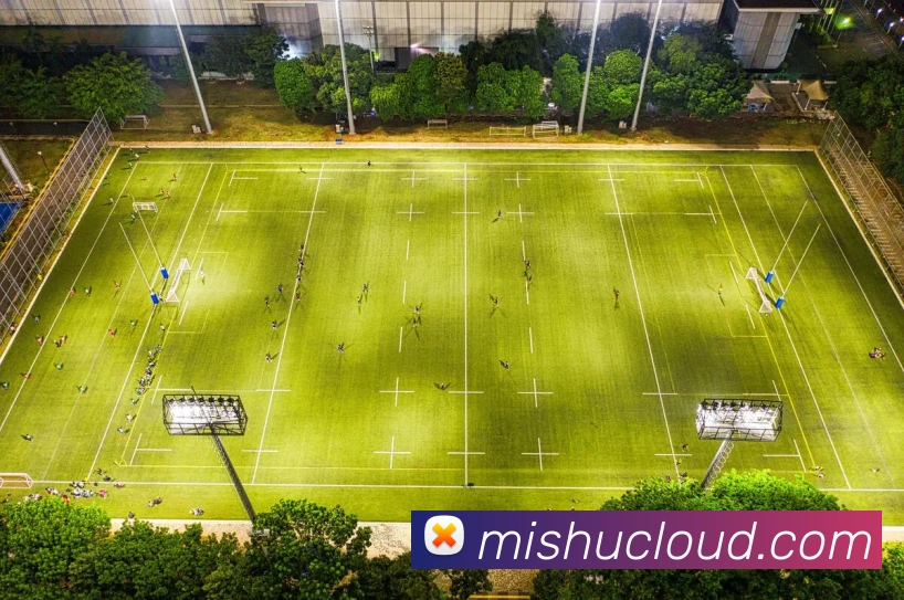 beat365官方网站入口APP 封面图